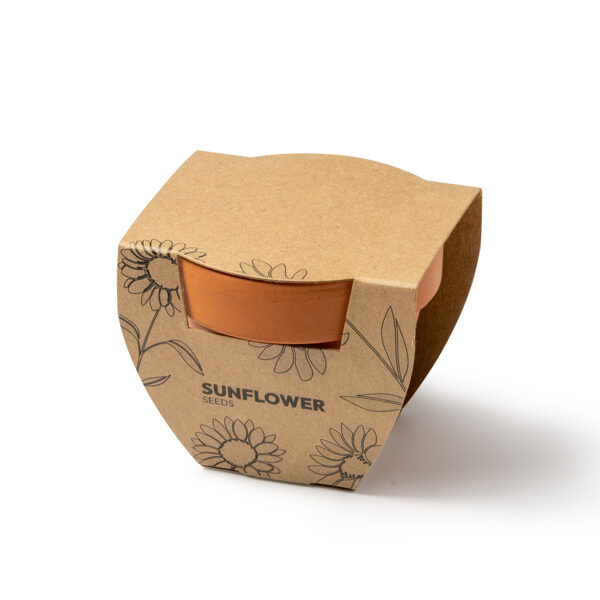 Terakotas puķu pods ar saulespuķu sēklām